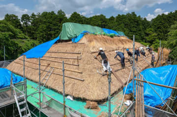 日本茅葺き文化協会が静岡県御殿場市で行った茅葺き研修の様子=2022年5月(同協会提供)