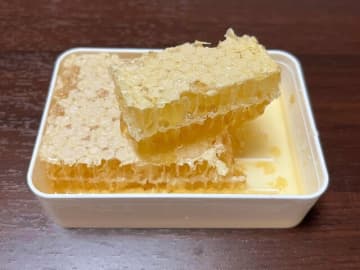 自然なままの蜂蜜を巣ごといただく「コムハニー」　※撮影／編集部