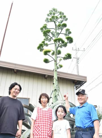 開花した「リュウゼツラン」について話す高橋栄さん(右)と家族=古河市東牛谷