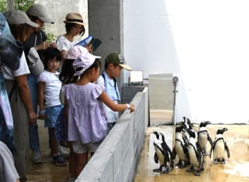 ケープペンギンを身近で見る親子連れ=行方市玉造甲