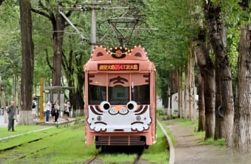 アムールトラをテーマにした長春市の路面電車が観光客に人気になっている。