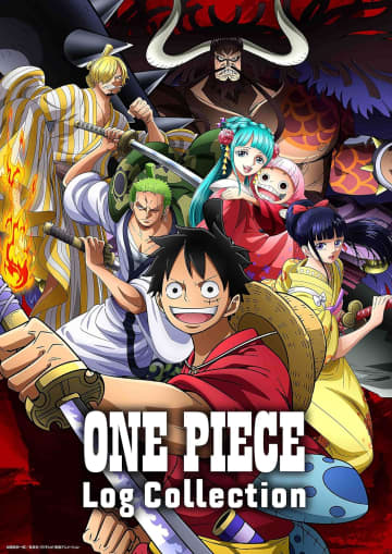 ONE PIECE Log Collection “HIYORI" [DVD]（エイベックス・ピクチャーズ）