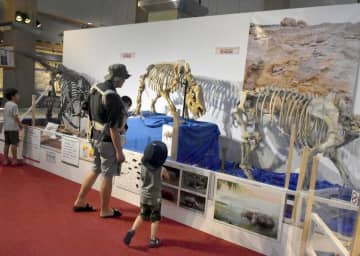 恐竜の全身骨格の複製などが並ぶ神栖市歴史民俗資料館の特別展=神栖市大野原