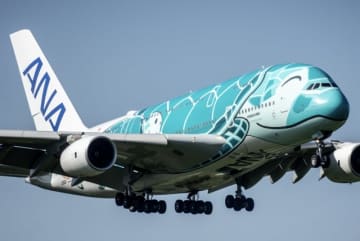 成田国際空港 2024年5月5日撮影 JA382A エアバスA380-841 全日空