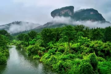 武夷山国家公園は世界複合遺産に指定されており、森林被覆率は94．5％にも達する。