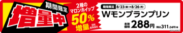 W（ダブル）モンブランプリン　販促画像