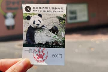 上野動物園のパンダのリーリーとシンシンについて、中国への返還が発表されたことを受け、同園には別れを惜しむ多くの人が訪れて80分待ちとなったとする日本の報道が中国でも紹介され、注目されている。