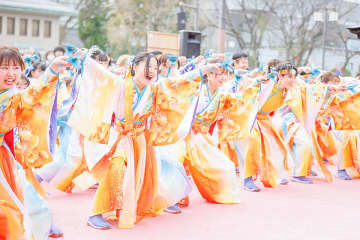 「よさこい鳴子踊り（夢源風人）」