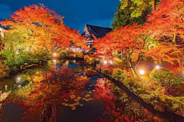 くろ谷金戒光明寺「秋の特別拝観」　※2024年11月15日（金）～12月8日（日）　※主催：くろ谷金戒光明寺