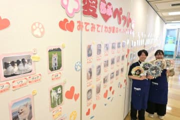 募集したペットの写真が並ぶ展示=日立市久慈町