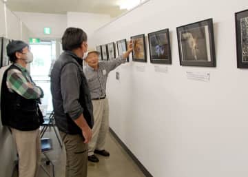 めんこい美術館で開かれている「野鳥の写真展」