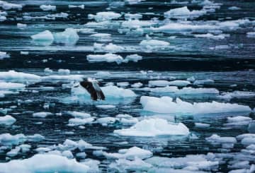 各国は近年、南極という「浄土」を守るため、南極クリーンエネルギー発展のさまざまな模索に取り組んでいる。写真は南極。