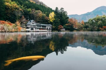 19日、台湾メディアのCTWANTは今年の夏休みシーズンに海外旅行をした台湾人のおよそ3人に1人が日本旅行を選んだこと明らかになったと報じた。