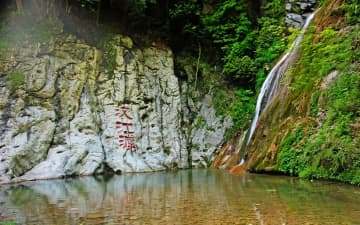 陝西省漢中市寧強県は秦嶺大巴山山間地帯に位置し、秦嶺大巴山の生物多様性保全重点生態機能エリアとなっている。