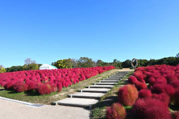 写真提供：万博記念公園マネジメント・パートナーズ