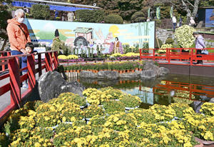 見頃を迎えた菊が華やかに彩っている「二本松の菊人形」の会場＝31日午前、二本松市・県立霞ケ城公園