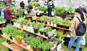 季節の花々や植木を品定めする園芸ファンら＝2日、沖縄市・市農民研修センター