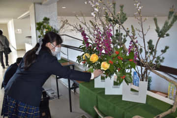 常陸太田市役所内に飾る生け花に取り組む生徒たち=同市金井町