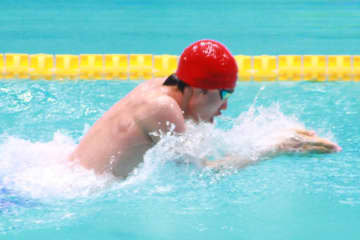 50m平泳ぎの予選レースに臨む松本。28秒67の好タイムを記録した（写真は水泳部競泳陣提供）