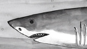 完成した「鮫川のサメ伝説『化身した黄金の鮫』」の一場面