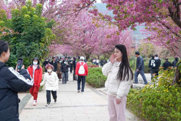 金沙江ほとりの少数民族イ族の村、春節に多くの観光客　四川省