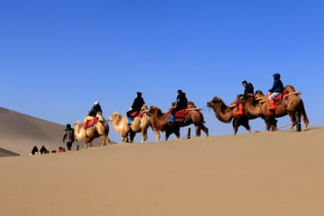 甘粛省敦煌市内の風景区、１月の観光客数が大幅増