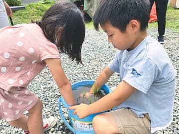 バケツ稲を楽しむ子どもたち（熊本市で＝楡木子ども地域食堂なごみ提供）