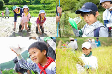 宝酒造「田んぼの学校」の様子