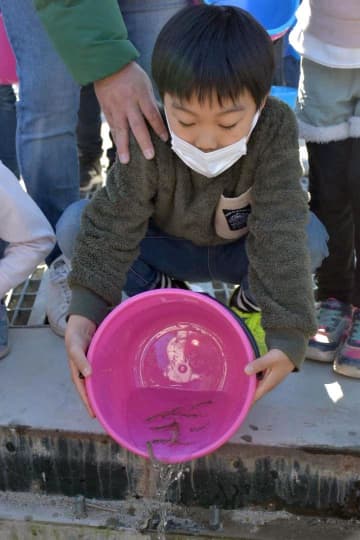 サケの稚魚を放流する子ども=筑西市女方