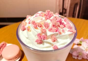 15日発売のスターバックスSAKURAドリンク『さくら　咲くサク　フラペチーノ』飲んでみた （C）oricon ME inc.