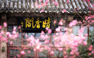 南京で国際梅祭りが開幕　江蘇省