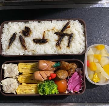 イナゴで「バーカ」！つなわさびさんによる夫への“復讐弁当”（本人画像提供）