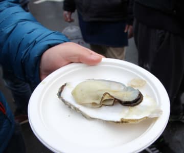 写真：来場者に「振舞い蒸し牡蠣」プレゼント（先着順）