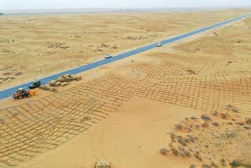 内モンゴル自治区アルシャー左旗トングリ砂漠S315沿線における砂の固定化工事の現場では、作業員が乾燥したワラを1メートル四方に碁盤の目のように並べて砂に埋め込む「草方格」を設置している。