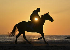 日の出を迎えた早朝の浜辺で朝日を浴びながら乗馬訓練する騎馬武者＝15日午前4時46分、南相馬市鹿島区・烏崎海岸